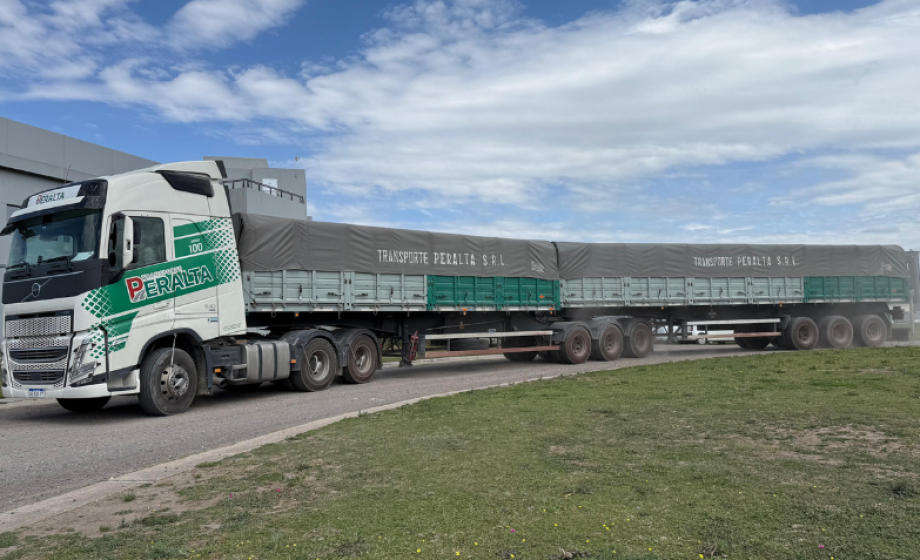 nuevo bitren transporte peralta